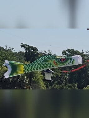 Koi Carp Fish Windsock Flag Kite  NEW 39.37" Long! RED or GREEN Available